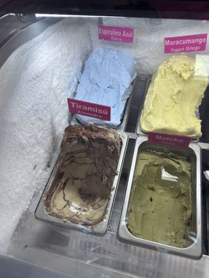 Vegan flavors  at Veggie Froyo in Chihuahua