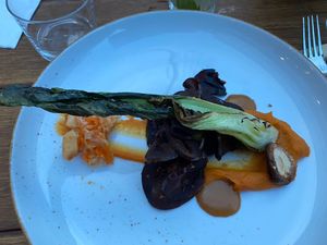 Aubergine bulogi  at BROEI in Amersfoort