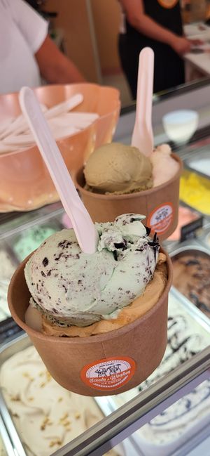 All ice cream is vegan and sooo good at IJssalon Scoobs & Winstons in Alkmaar