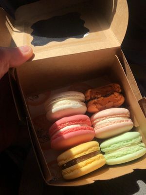 macarons  at IJssalon Scoobs & Winstons in Alkmaar