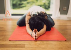  at MIKA in Bilthoven