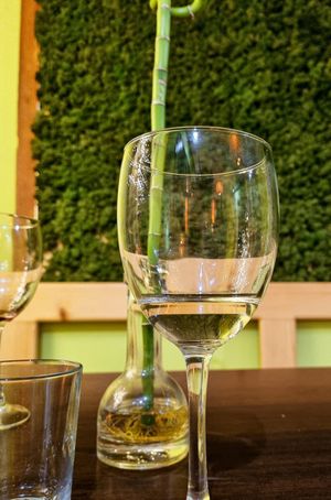 Great wine, great advice about the wine at Cibo in Aosta