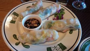 Freshy Rolls at Thai Vegan in Santa Fe