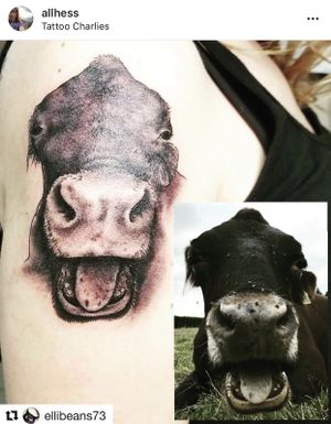 My second tattoo with Elli - of my cow friend, Rosie. She lives at a sanctuary in England and is nearly 21! at Tattoo Charlies in Louisville