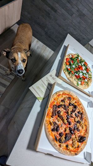 Anche Zack approva la pizza di Matteo😋😂 at Da Matteo Pizzeria - Fontane di Villorba in Treviso