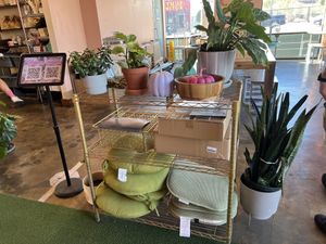   at My Vegan Gold in Los Angeles