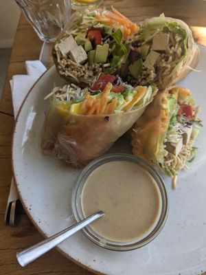 Summer rolls with peanut sauce at Sukha Life in Castricum