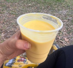 Vegan Mango Lassi ! They DO offer a vegan mango lassi that they provide at the Critter Creek Moo-ket.   at Braised Yum in Gainesville