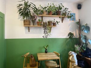 loooove tha plants  at Avocado Vegan Bistro in Gdansk