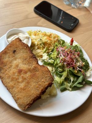 Soy Schnitzel with potato puree and salad   at Avocado Vegan Bistro in Gdansk