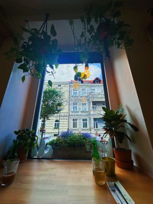   at Avocado Vegan Bistro in Gdansk