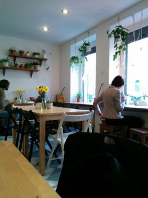 interior at Avocado Vegan Bistro in Gdansk