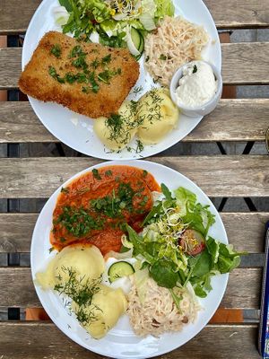 Schabowy & gołąbki 🤘♥️ at Avocado Vegan Bistro in Gdansk