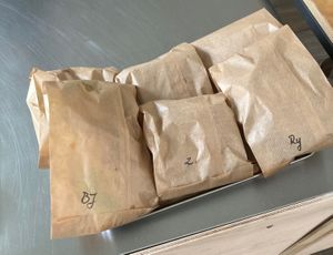 Sandwiches at DAMKA • cafè & bakery in Krakow