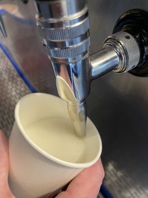   at SOMA Kombucha Taproom - Belmont in Portland