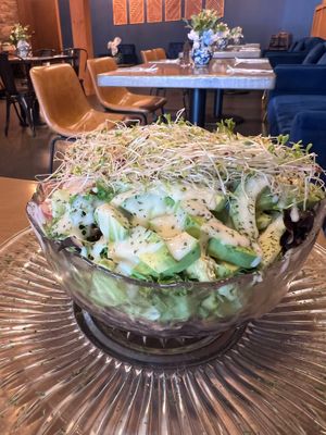 Buddha bowl at Tasty Experience Bistro in Worcester