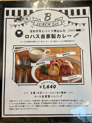 Warning: Curry contains shrimp unless you order it vegan. at Natural Food Dining LOHAS in Sapporo