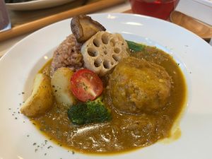 curry, ordered vegan at Natural Food Dining LOHAS in Sapporo