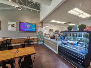  at Z's Good Vibez Juice Bar in Allen