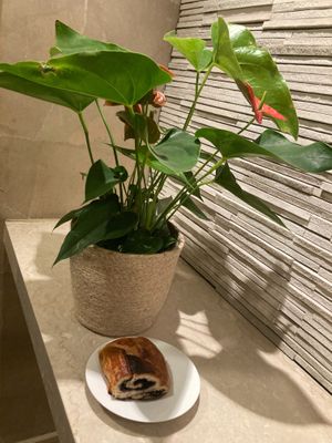 Vegan babka (plated at home) at Black Star Bakery & Cafe in New York City