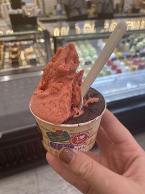 Strawberry sorbet and dark chocolate fondant gelatoo  at Lucciano's in Rome
