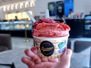 Sorbet at Lucciano's in Rome