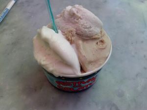 rice milk flavors at Festival del Gelato in Florence