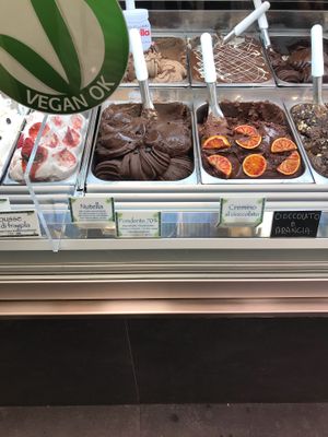 Vegan Ok + Fondente 70% is vegan at Festival del Gelato in Florence