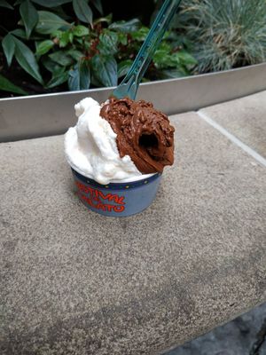Rice ice cream (ricemilk) and vegan chocolate ice cream. Sooo yummy❤️ at Festival del Gelato in Florence