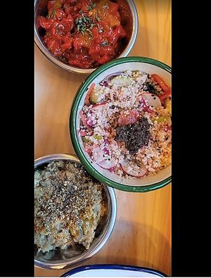 Salad of the day, Taktouka, and Baba Zaloouk (smoked aubergine, confit garlic, confit tomato, lemon and tahini) at Beldi in Mallorca