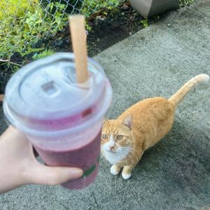   at The Veli  in Pahoa