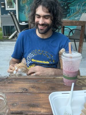   at The Veli  in Pahoa