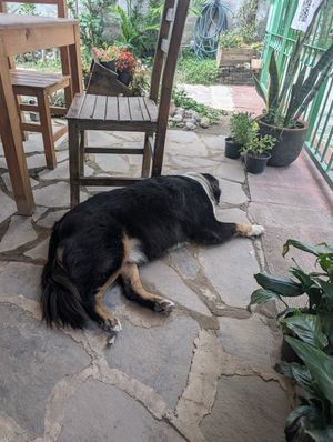  at Shanti in Zapopan