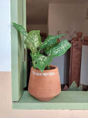 Frase do dia 🌱 at A Varandinha in Itacare