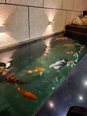 Fishes at iVegan Supershop Nha Trang - Healthy Plant Based Cafe in Nha Trang