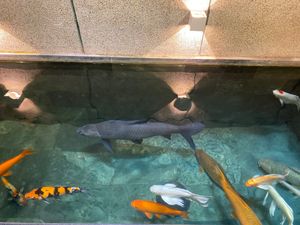  at iVegan Supershop Nha Trang - Healthy Plant Based Cafe in Nha Trang