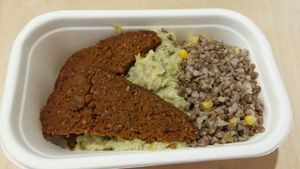 The container was made of paper/cardboard! at Vegan Bar in Bratislava