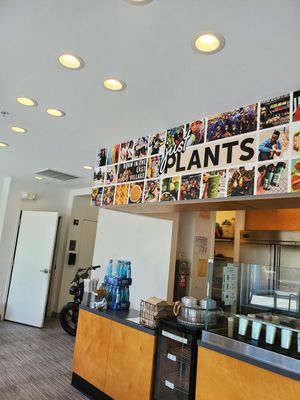 Pictures at Juice Press in Ardmore