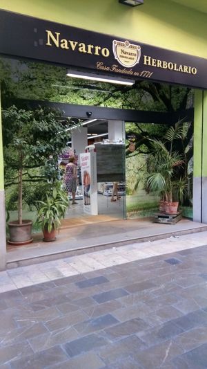 Street at Biovegan Cafeteria Navarro in Valencia