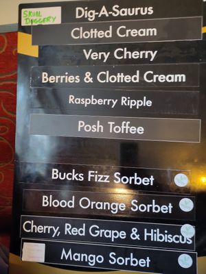 Plant-based ices on offer at The Raven Inn in Devizes