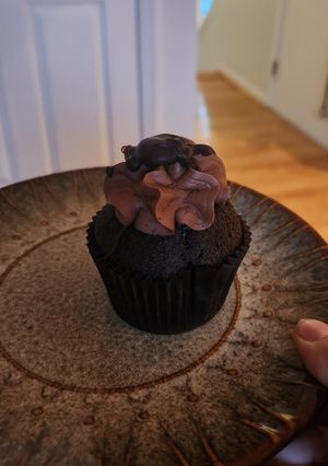 Chocolate Truffle #Veganuary at Get Caked Bakery in Rochester