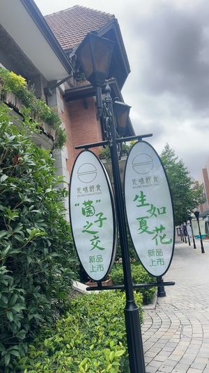   at Wuwei Shushi - Sinan Branch - 无味舒食(思南店) in Shanghai