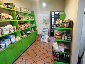 Tienda 1 at El Milenio in Tepoztlan