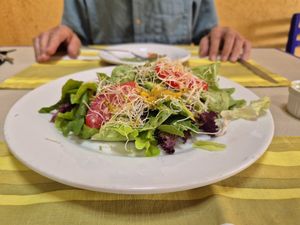 Mixed salad with alfalfa sprouts at El Milenio in Tepoztlan