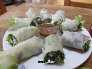 Vietnamese spring rolls at El Milenio in Tepoztlan