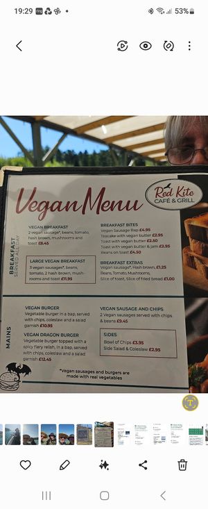  at Red Kite Cafe in Ponterwyd