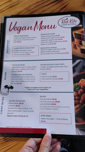 Vegan menu (October 2025) at Red Kite Cafe in Ponterwyd