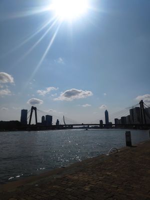 Los van het eten is het ook gewoon leuk om door Rotterdam te lopen at Vegan Food Tour Rotterdam in Rotterdam