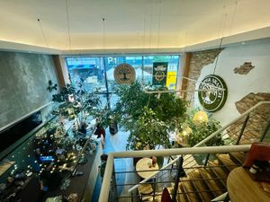 5️⃣Copper Branch at Vegan Food Tour Rotterdam in Rotterdam