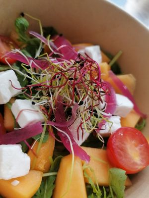 Salade du jour, Melon de Coursan, Pickles d'oignon, Feta Aop, Roquette Sauvage, Germes et Vinaigrette au thé. at Chabana in Narbonne